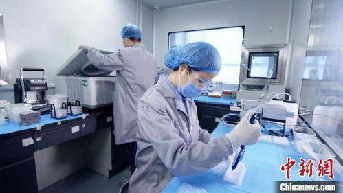 濟南以創新為引擎 全面激發民營經濟發展新活力