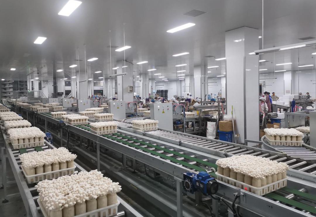 2022年中國倉儲業市場運行情況分析與后期展望